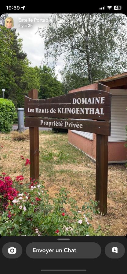 Gite Au Nid De L'Ecureuil Boersch المظهر الخارجي الصورة
